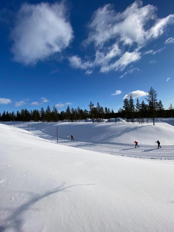 Haukka