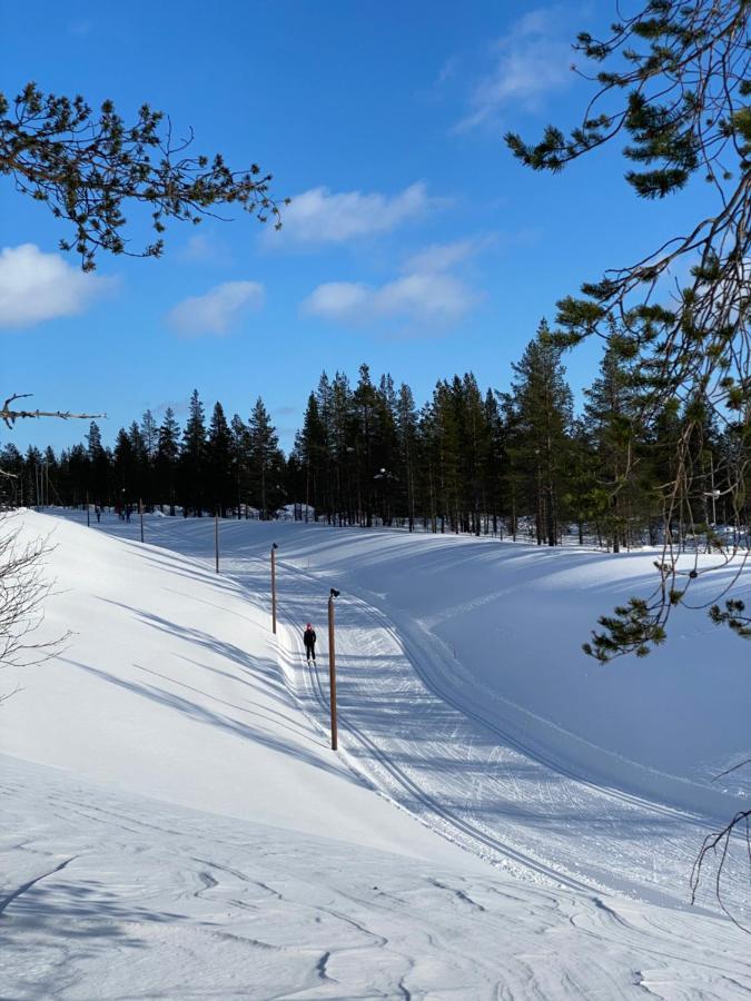 Haukka Villa Saariselkä