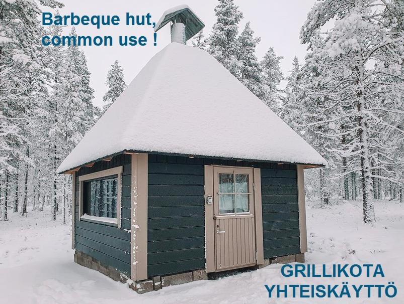 Haukka Saariselkä