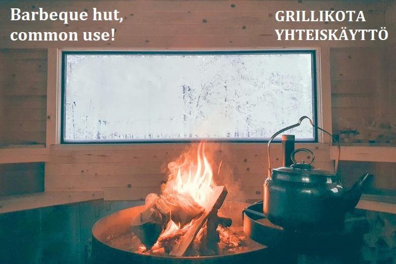 Haukka Saariselkä