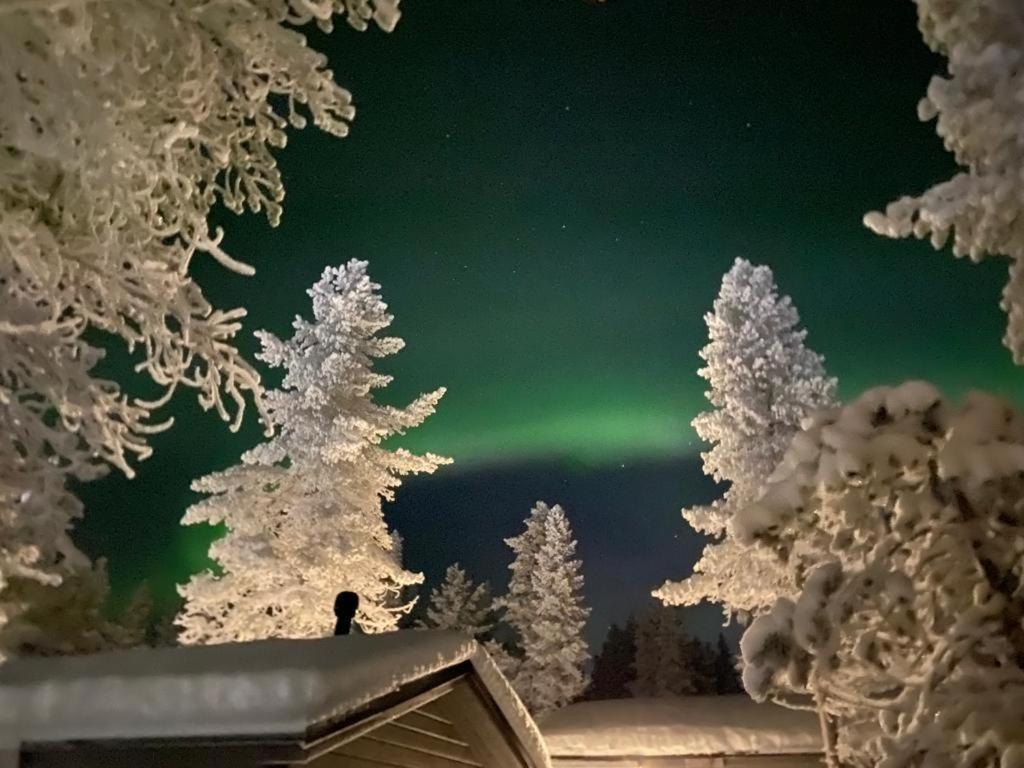 Villa Haukka