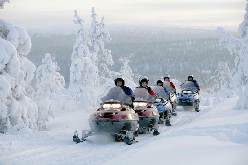 Haukka *
